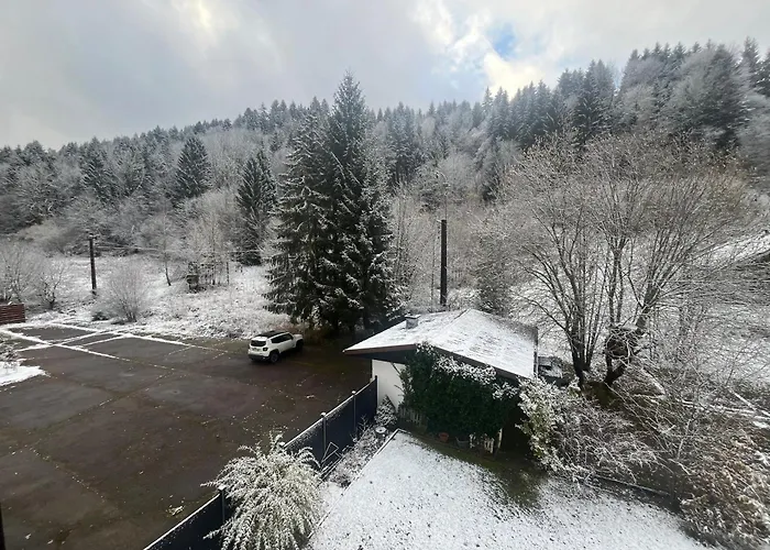 Studio Chalet Cosy Gerardmer